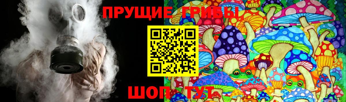 наркота  Галлюциногенные грибы мицелий  Вход с VPN  Псилоцибиновые грибы MAGIC MUSHROOMS  Мыски 
