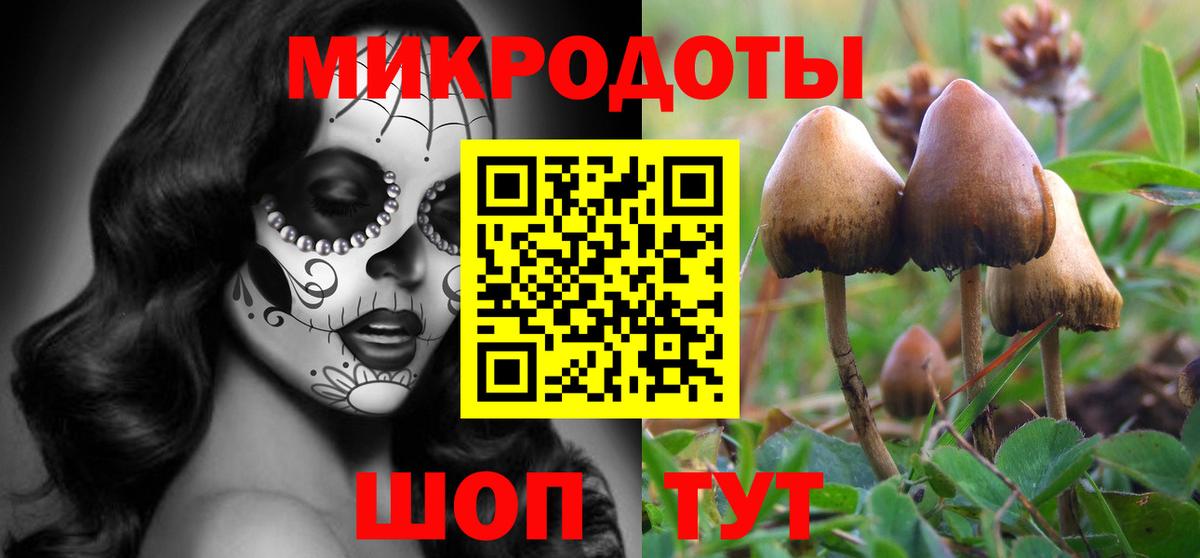 Псилоцибиновые грибы мухоморы Мыски